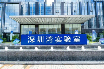 深圳灣實驗室